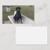 Doberman Flipper Visitenkarte (Vorne/Hinten)