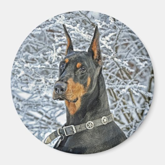 Doberman Fosty Day Magnet (Vorne)