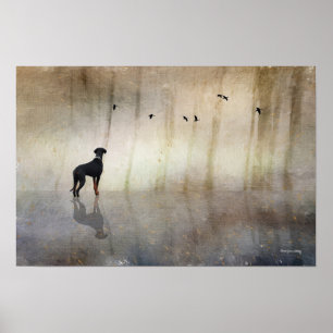Doberman Foto Kunst - Spiegelbild eines ruhigen He Poster