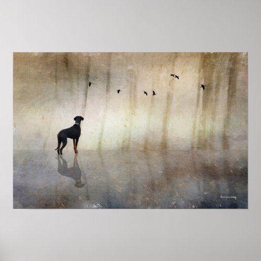 Doberman Foto Kunst - Spiegelbild eines ruhigen He Poster (Vorne)