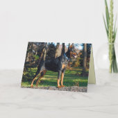 Doberman Greeting Card Karte (Rückseite)