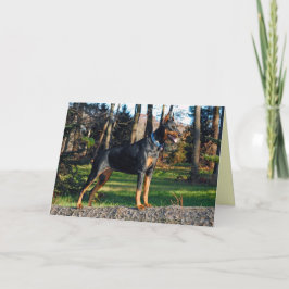 Doberman Greeting Card Karte