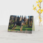 Doberman Greeting Card Karte (Gelbe Blume)