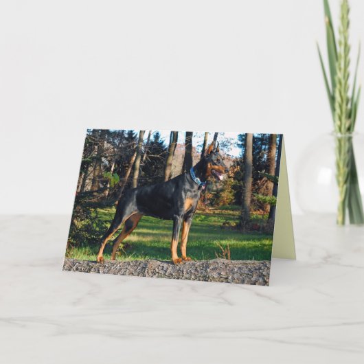 Doberman Greeting Card Karte (Vorderseite)