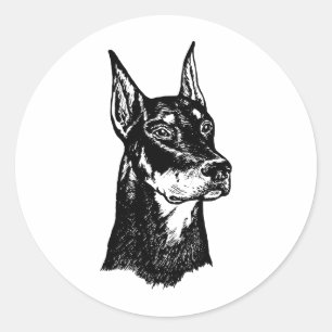 DOBERMAN HEAD RUNDER AUFKLEBER