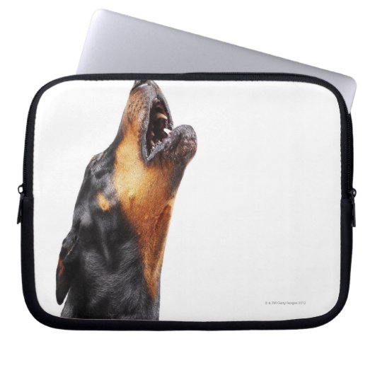 Doberman hewling laptopschutzhülle (Vorderseite)