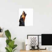 Doberman hewling poster (Heimbüro)
