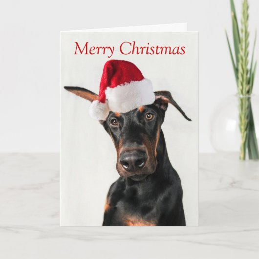 Doberman Hund mit Weihnachtsmannmütze Weihnachtska Feiertagskarte (Vorderseite)