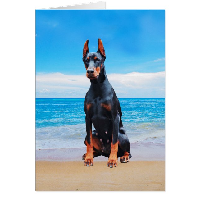 Doberman Hund sitzt am Strand (Vorne)
