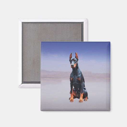 Doberman Hund sitzt am Strand Magnet (Vorderseite/Rückseite)