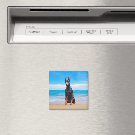 Doberman Hund sitzt am Strand Magnet (In Situ (Geschirrspüler))