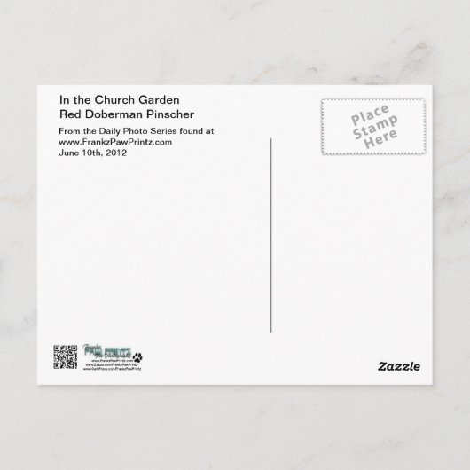 Doberman - Im Kirchengarten Postkarte (Rückseite)