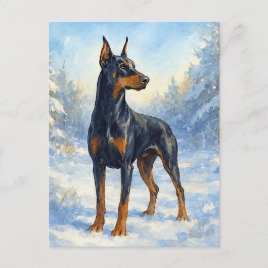 Doberman im Winterschnee Postkarte (Vorderseite)