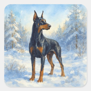 Doberman im Winterschnee Quadratischer Aufkleber