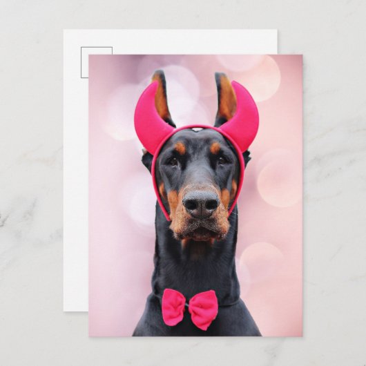 Doberman in Devil Costume Postkarte (Vorne/Hinten)