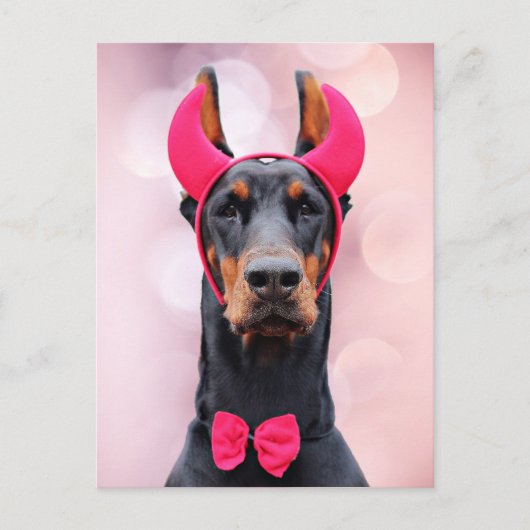 Doberman in Devil Costume Postkarte (Vorderseite)
