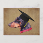 Doberman In Graduation Cap Funny Dog Personalized Postkarte (Vorderseite)