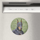 Doberman in Grass Magnet (In Situ (Geschirrspüler))