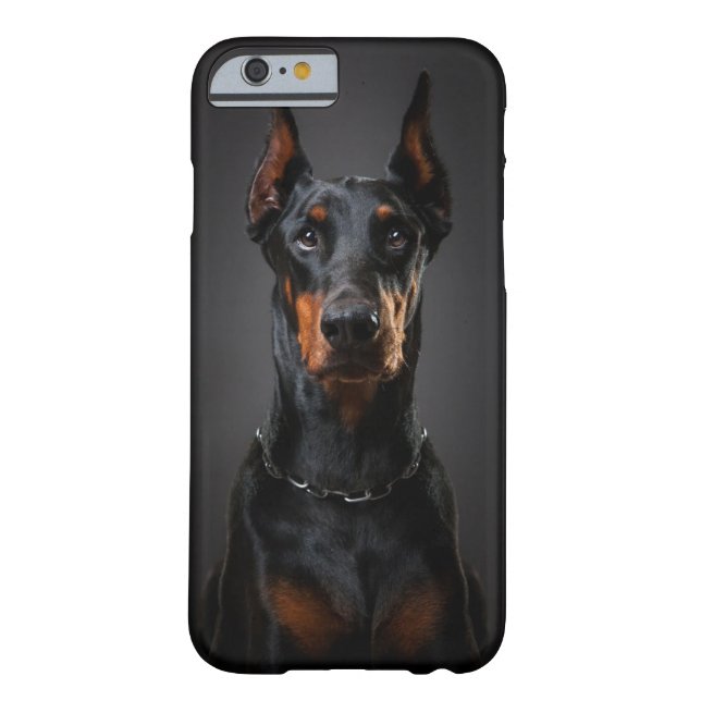 Doberman iPhone 6/6, Selten dort Case-Mate iPhone Hülle (Rückseite)