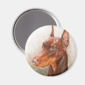Doberman Magnet (Vorderseite/Rückseite)