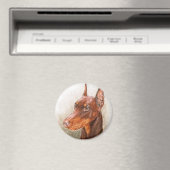 Doberman Magnet (In Situ (Geschirrspüler))