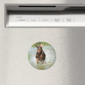 Doberman Magnet (In Situ (Geschirrspüler))