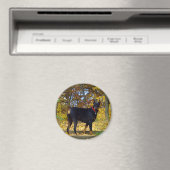 Doberman Magnet (In Situ (Geschirrspüler))
