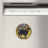 Doberman Magnet (In Situ (Geschirrspüler))