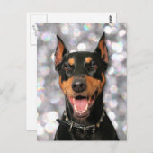 Doberman - Megyan Postkarte (Vorne/Hinten)