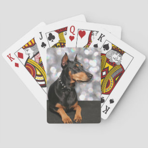 Doberman - Megyan Spielkarten