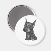 Doberman Pincher Magnet (Vorderseite/Rückseite)