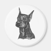 Doberman Pincher Magnet (Vorne)