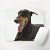 Doberman Pinscher 2 Mousepad (Mit Mouse)
