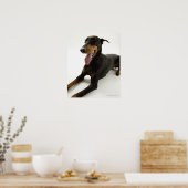 Doberman Pinscher 2 Poster (Küche)