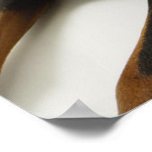 Doberman Pinscher 2 Poster (Ecke)