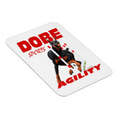 Doberman Pinscher Agility Magnet (Rechte Seite)