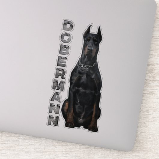 Doberman Pinscher Aufkleber (Detail)