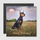 Doberman Pinscher Birthday Magnetkarte (Vorne/Hinten)