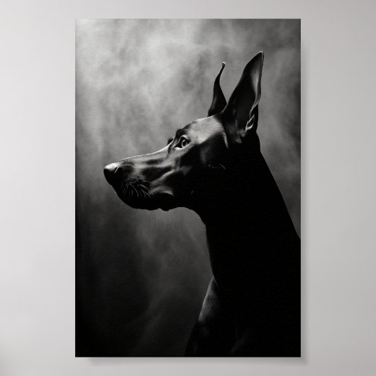 Doberman Pinscher Black and White Poster (Vorne)
