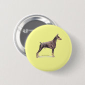 Doberman Pinscher Button (Vorne & Hinten)