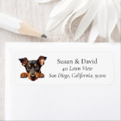 Doberman Pinscher Dog Breed Pet Lovers (Insitu)