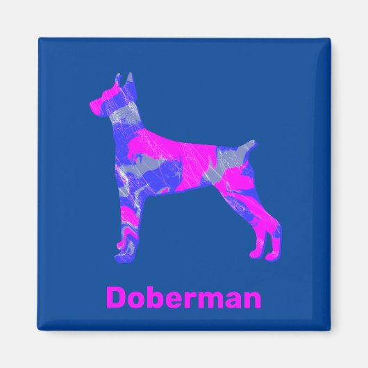 Doberman Pinscher Dog Hot Pink & Blue Magnet (Vorne)