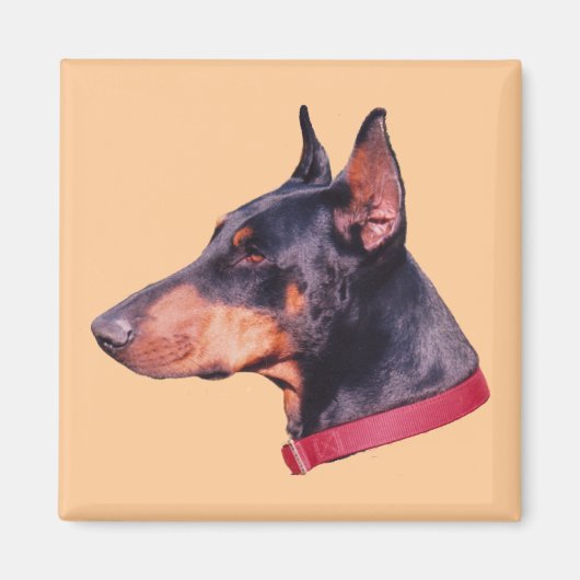 Doberman Pinscher Dog Magnet (Vorne)