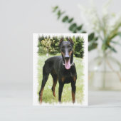 Doberman Pinscher Dog Postcard Postkarte (Stehend Vorderseite)
