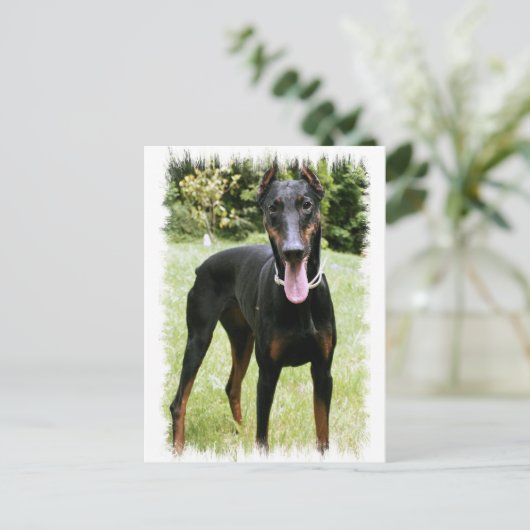 Doberman Pinscher Dog Postcard Postkarte (Stehend Vorderseite)