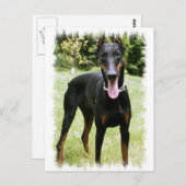 Doberman Pinscher Dog Postcard Postkarte (Vorne/Hinten)