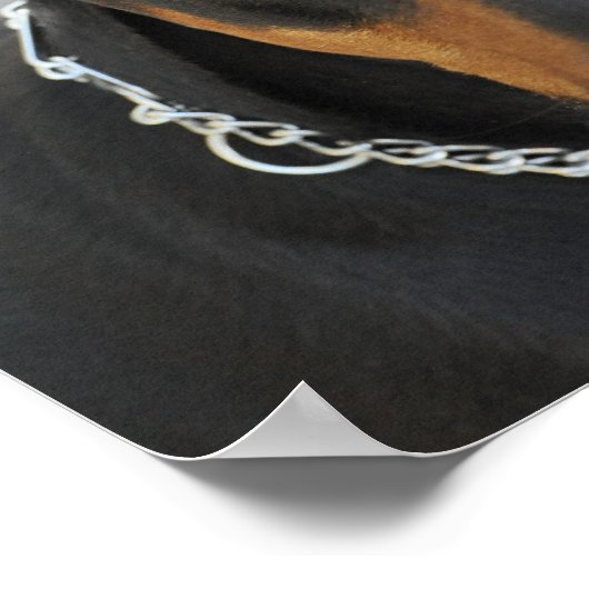 Doberman Pinscher Dog Print Poster (Ecke)