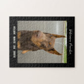 Doberman Pinscher Foto Dog Breed Jigsaw Puzzle (Horizontal)