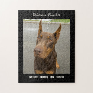 Doberman Pinscher Foto Dog Breed Jigsaw Puzzle