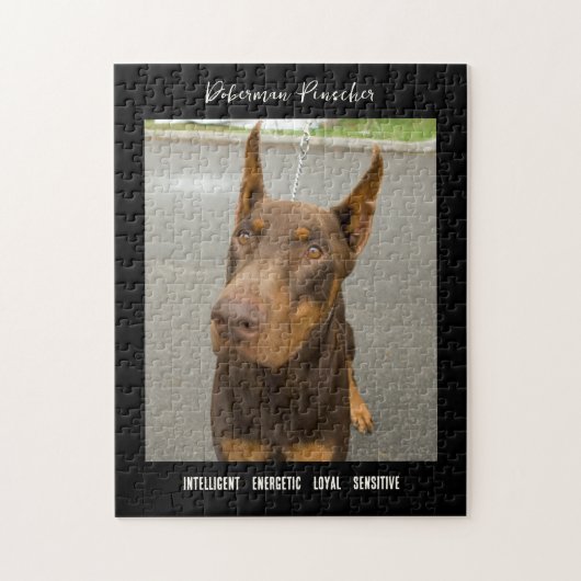 Doberman Pinscher Foto Dog Breed Jigsaw Puzzle (Vertikal)